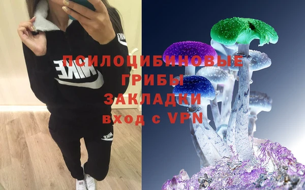 прущая мука Новодвинск