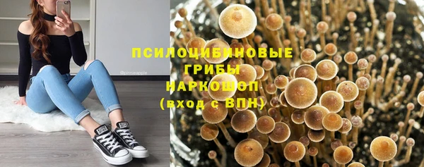 прущая мука Новодвинск