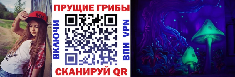 купить наркоту  Иркутск  omg как войти  Псилоцибиновые грибы Magic Shrooms 