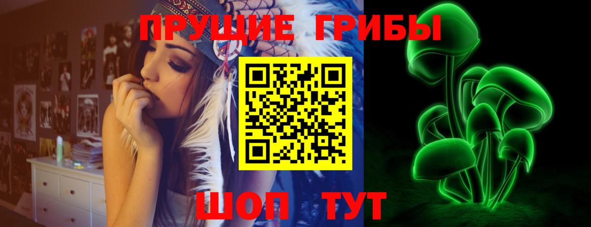 Галлюциногенные грибы MAGIC MUSHROOMS  Вход с VPN  Иркутск 
